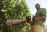 CRAFTSMAN V60 Cordless Hedge Trimmer, 24-Inch (CMCHTS860E1)