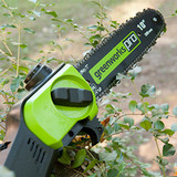 Greenworks PRO 80V 10” Brushless Cordless Polesaw, 2.0Ah Battery and Charger Included PS80L210