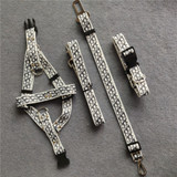 Dior dog harness collar leash set 259#