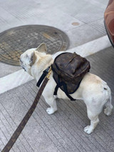 lv dog backpack fashion -513#