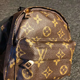 lv dog backpack fashion -513#