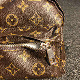 lv dog backpack fashion -513#