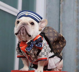 lv dog backpack fashion -513#