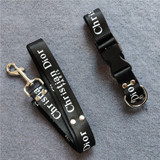 Dior dog harness and collar set 241#