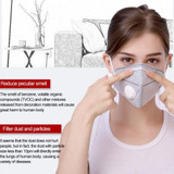 10 PCS Reusable KN95 Respirators