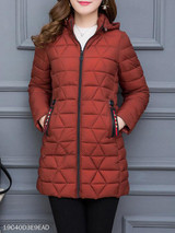 Hooded Zipper Plain Coat