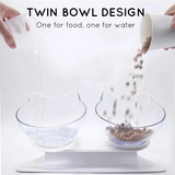 Orthopedic Anti-Vomiting Pet Bowl (2020 Upgraded)