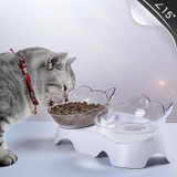 Orthopedic Anti-Vomiting Pet Bowl (2020 Upgraded)