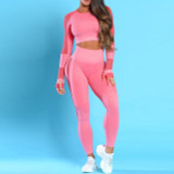 Women Yoga Set Yoga Crop Top Seamless Leggings Workout Yoga Pants Gym Set High Waist Legging Pants Sport Clothing Fitness Shirt