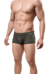 Convex Mesh Trunks