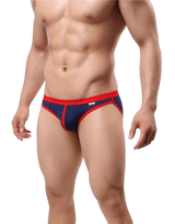 Fashion Mesh Bikini Briefs