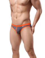 Fashion Mesh Bikini Briefs