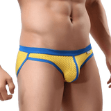 Fashion Mesh Bikini Briefs