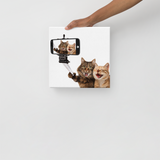 Funny Cats Selfie Canvas