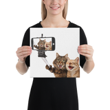 Funny Cats Selfie Canvas