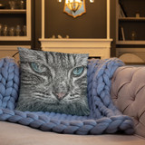 Tabby Cat Pillow