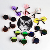 Pet Glasses
