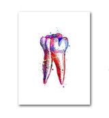Tooth Watercolor Print Tooth / Tooth Fairy Dental Art Poster For Clinic Wall Decor Tooth Watercolor Print Tooth / Tooth Fairy Dental Art Poster For Clinic Wall Decor