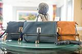 Cameleon Aya Concealed Carry Handbag