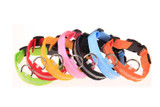 Safety Light Up LED Dog Collar