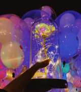 Galaxy Enchanted Rose