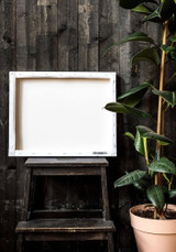 Forest Canvas