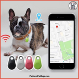 FLFD - GPS PET TRACKER