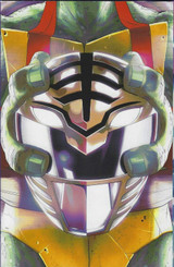 Mighty Morphin Power Rangers Teenage Mutant Ninja Turtles #3 Variant