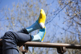 Men's 5-Pair Colorful Striped Socks-3049