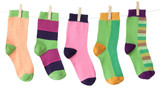 Womens 5-Pair Colorful Crew Socks - 6039