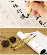 Chinese Calligraphy Brush Pen with Refill Ink