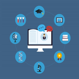 Online Business Academy - Digital Courses