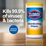 Clorox Disinfecting Wipes, Bleach Free Cleaning Wipes - Fresh - 75 Count