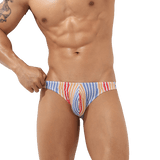 Graphic Bikini Briefs