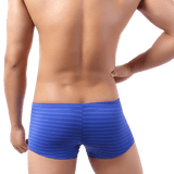 Light Striped Trunks