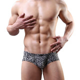 Leopard Bulge Trunks