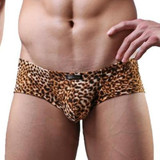 Leopard Bulge Trunks