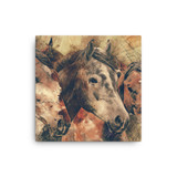 Horse Canvas