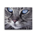 Cat Canvas