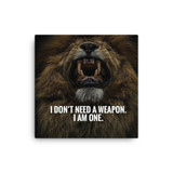 I Do not Need a Weapon, I am one Canvas