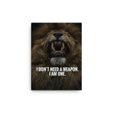 I Do not Need a Weapon, I am one Canvas