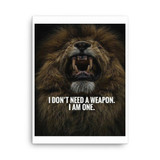 I Do not Need a Weapon, I am one Canvas