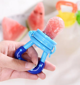 Baby Fruit Pacifier Feeder