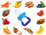 Baby Fruit Pacifier Feeder