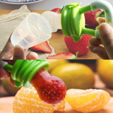 Baby Fruit Pacifier Feeder