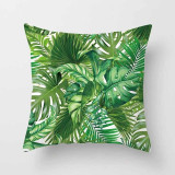 Tropical Leaf Cactus Monstera Cushion Cover