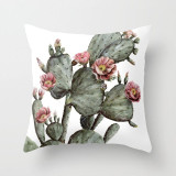 Tropical Leaf Cactus Monstera Cushion Cover