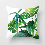 Tropical Leaf Cactus Monstera Cushion Cover