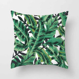 Tropical Leaf Cactus Monstera Cushion Cover