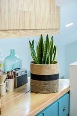Jute Rope Plant Basket Modern Floor Planter for 10" Flower Pot